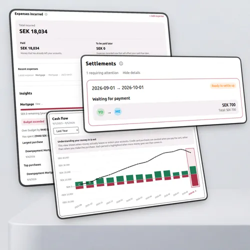 Household Saga household insights, settlements and budgeting features