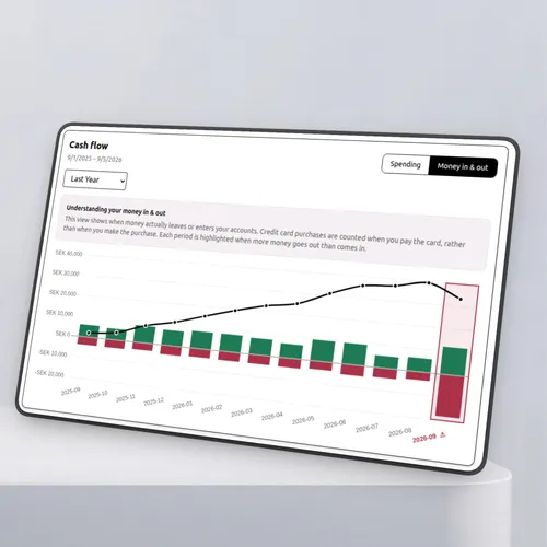 Household Saga cash flow and expense overview